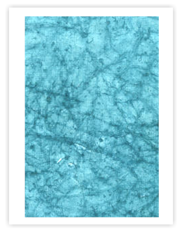 Single product image